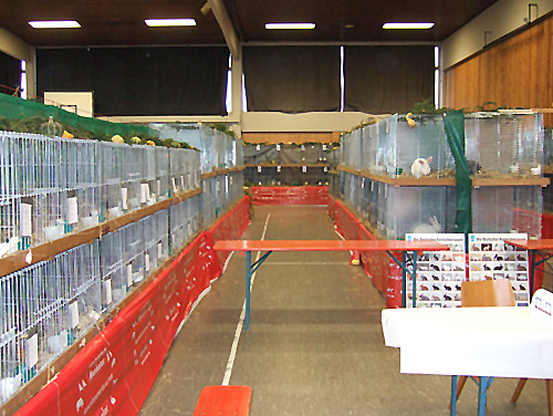 2007_1104Lokalschau0004