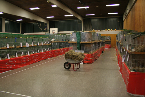 Ausstelung_7516