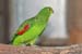 Ferdi_7326